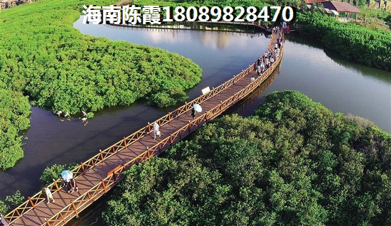 酒泉2022年XG吗？