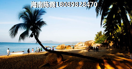 酒泉春光丽都交通图